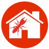 Termite Icon